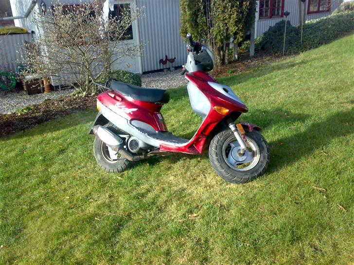 Adly Silverfox, Solgt billede 2