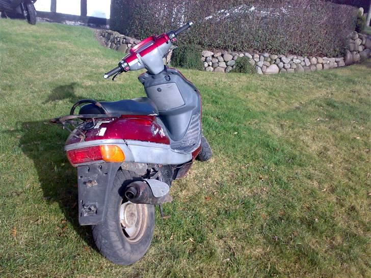 Adly Silverfox, Solgt billede 3