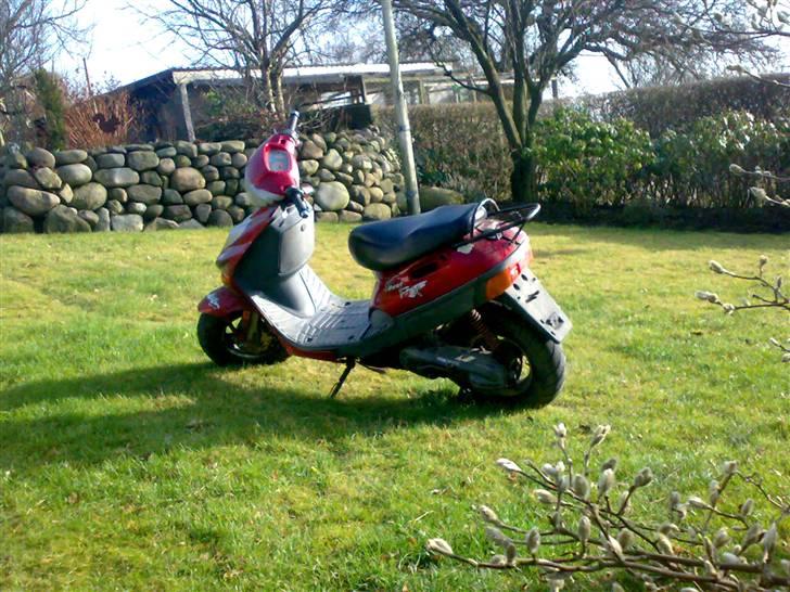 Adly Silverfox, Solgt billede 4