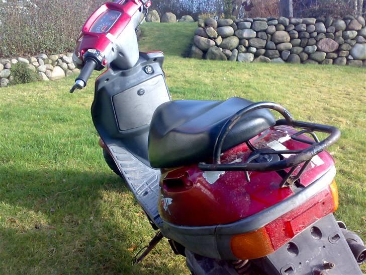 Adly Silverfox, Solgt billede 6