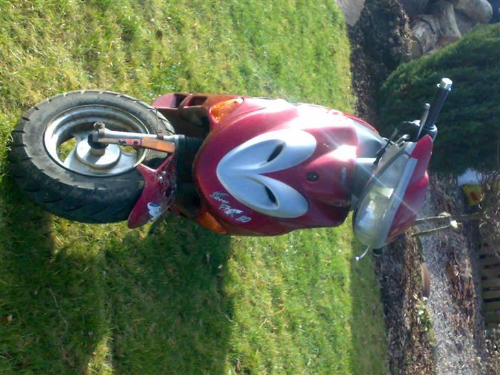 Adly Silverfox, Solgt billede 7