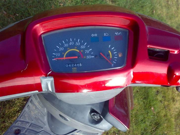 Adly Silverfox, Solgt billede 8