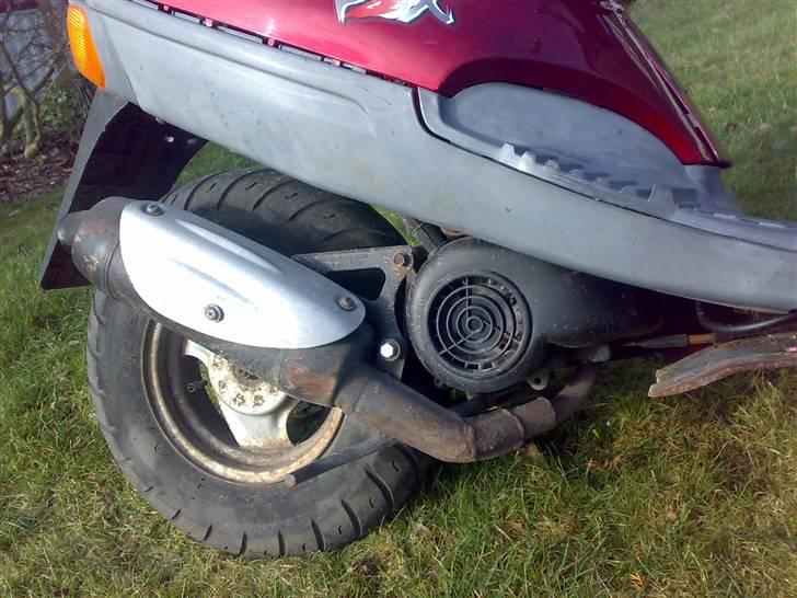 Adly Silverfox, Solgt billede 9