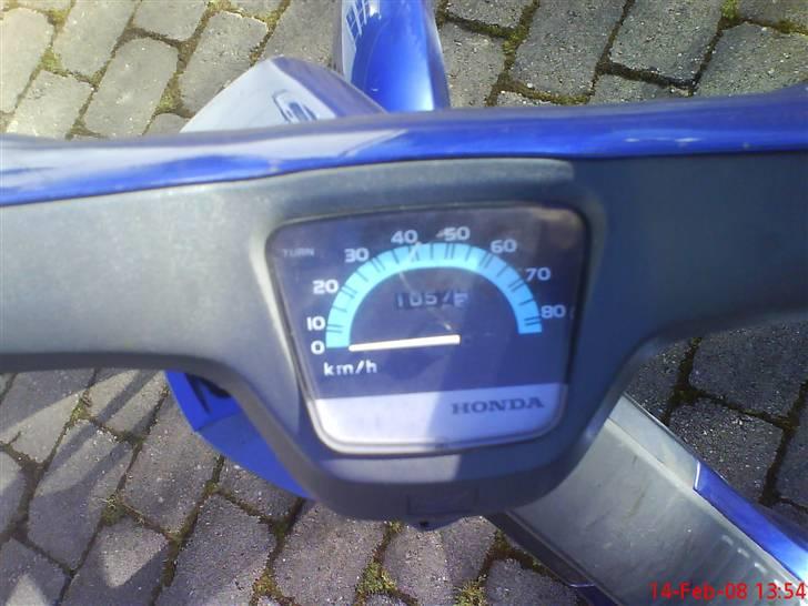 Honda Wallaroo (SOLGT) billede 7
