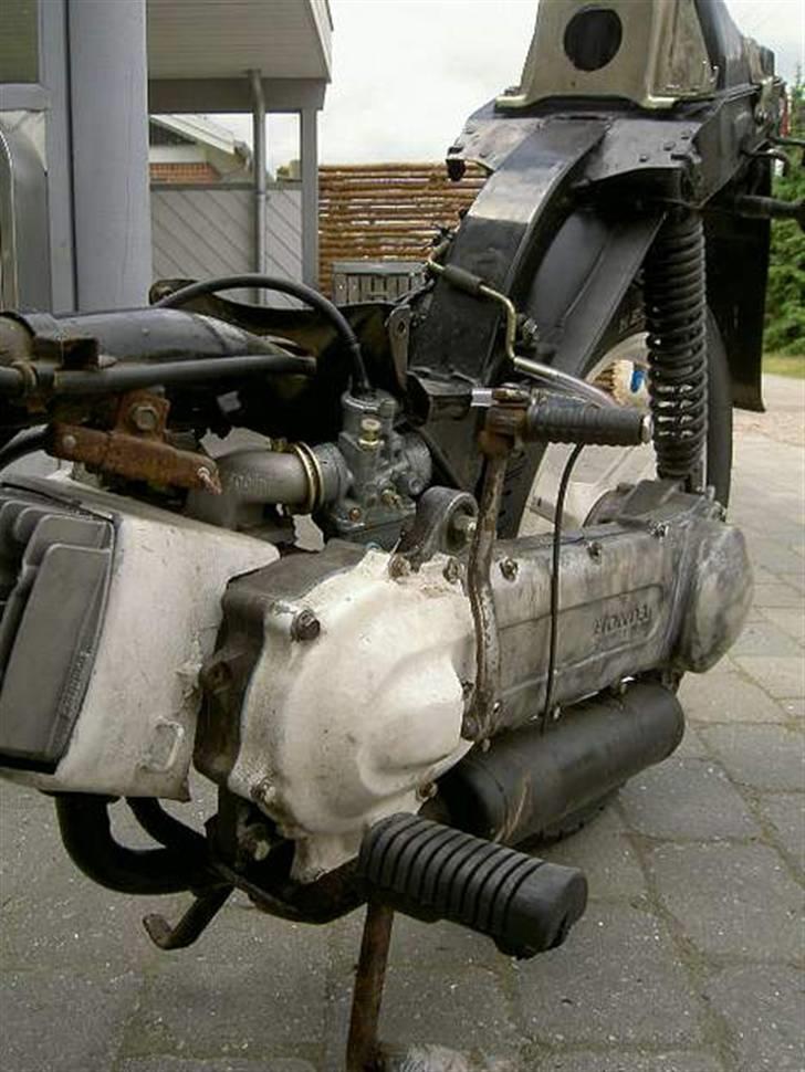 Honda Wallaroo (SOLGT) billede 8