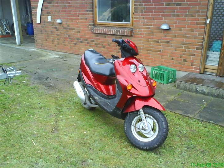 Adly falcon billede 1