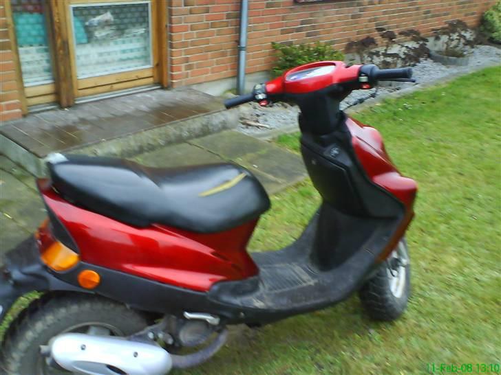 Adly falcon billede 2