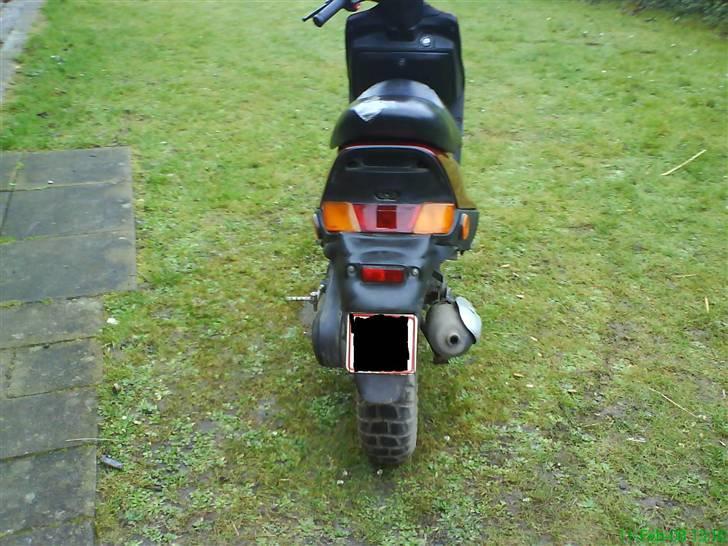 Adly falcon billede 3