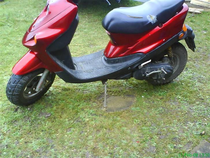 Adly falcon billede 4