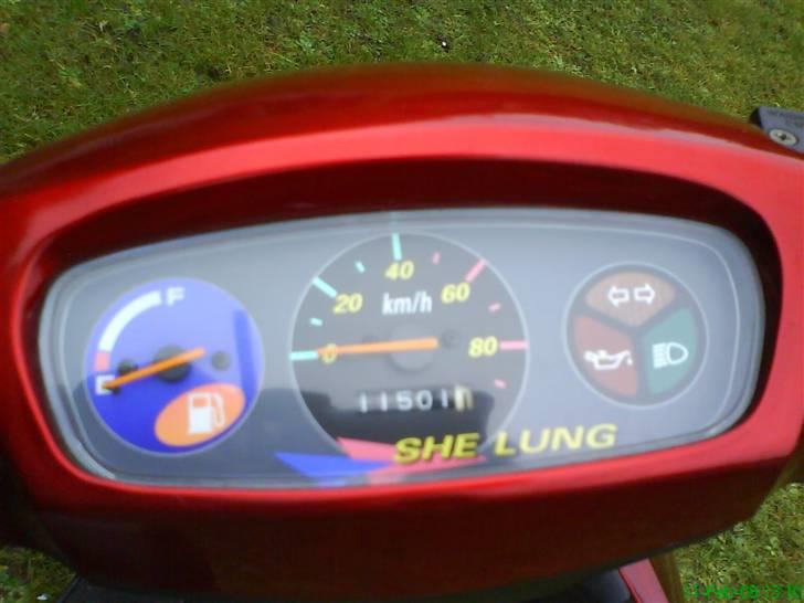 Adly falcon billede 5