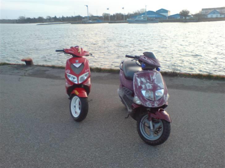 Peugeot speedfight 307 *solgt*  billede 5