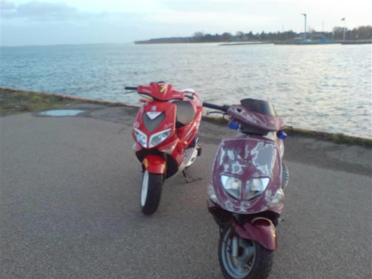 Peugeot speedfight 307 *solgt*  billede 6