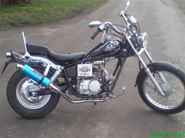 Regal Raptor Projekt billede 1