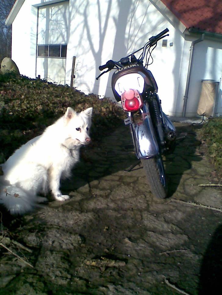 Suzuki DM 50 Samurai Solgt. billede 9