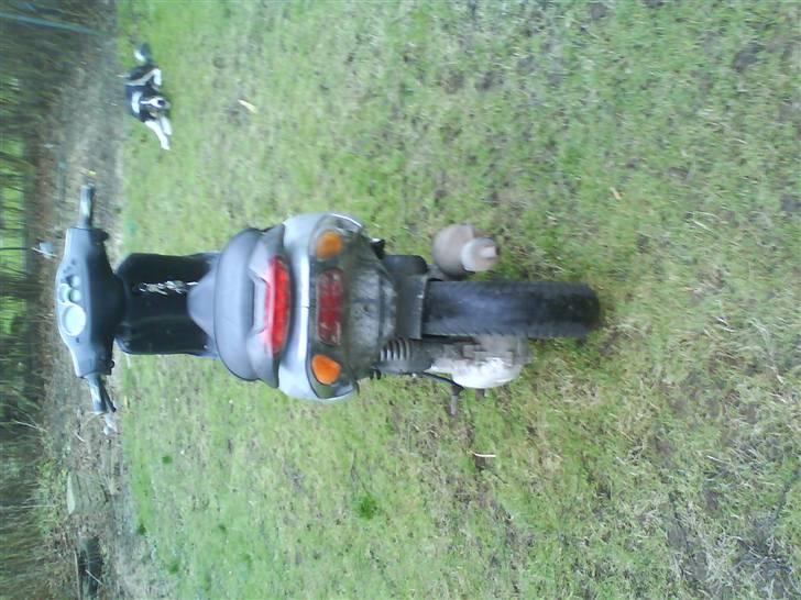 Piaggio nrg mc3 bygget om billede 7