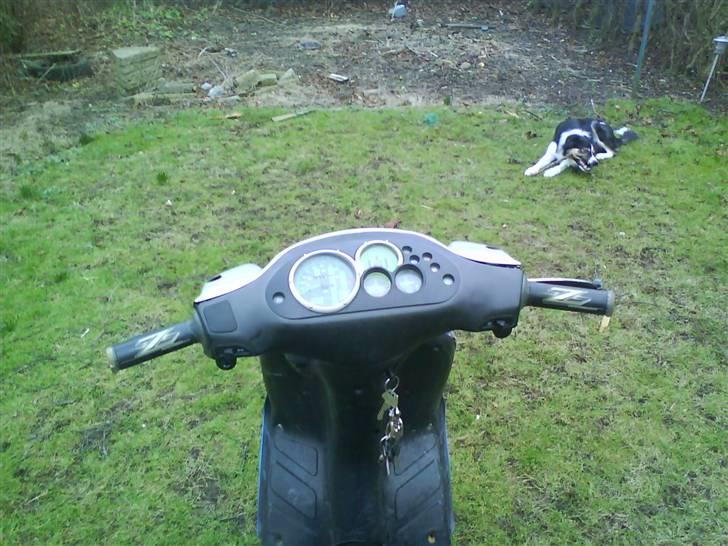 Piaggio nrg mc3 bygget om billede 8