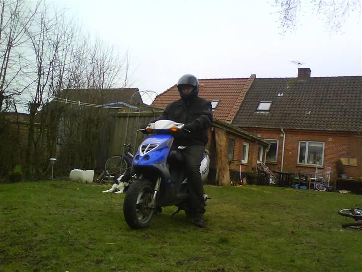 Piaggio nrg mc3 bygget om billede 9