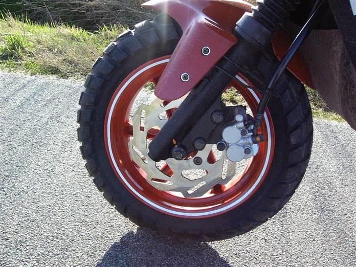 PGO Hot 50 billede 3