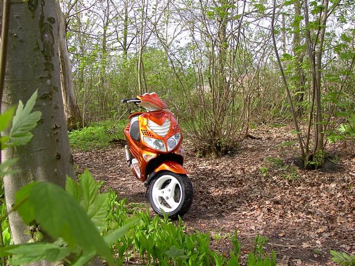 Peugeot Speedfight 2 SOLGT billede 12