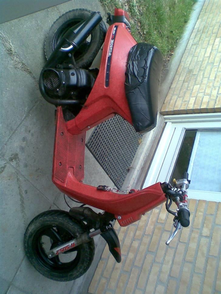 Honda Melody-sfx - SOLGT - Sorry´ billedet vender forkert. billede 7