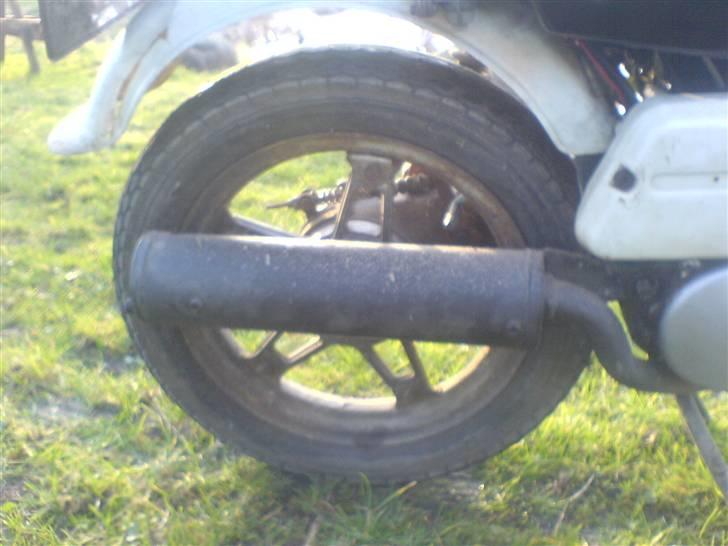 Suzuki FZ50 - Freddy **FØR** billede 4