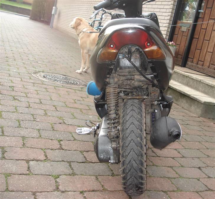 Aprilia Sonic, Byttet til Neos billede 8