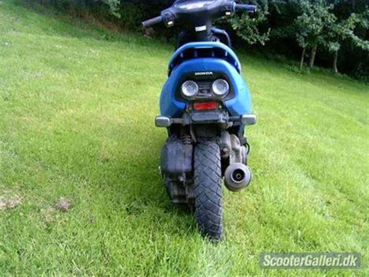 Honda SFX - 2002  Solgt billede 2