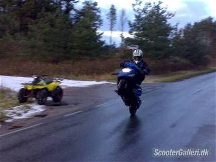 Honda SFX - 2002  Solgt billede 4