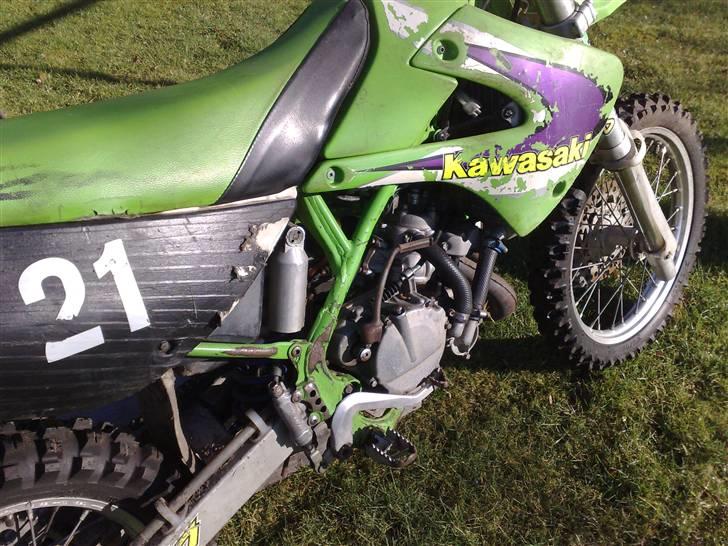 Kawasaki Kx 80 billede 6