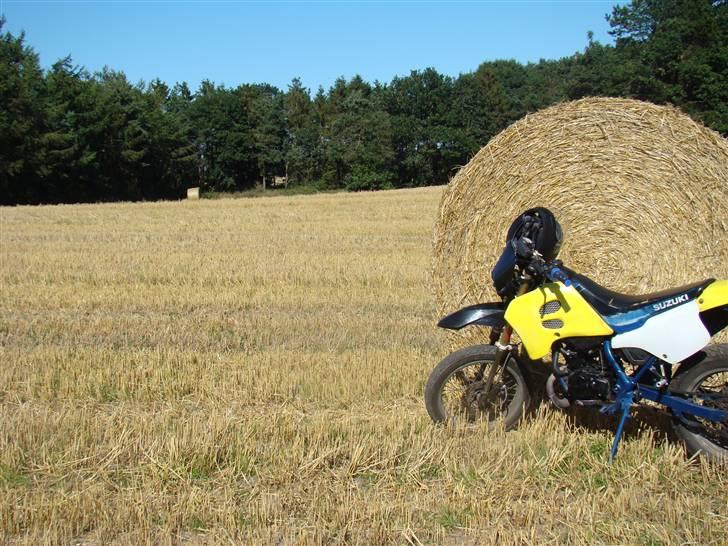 Suzuki SMX LC DD Byttede billede 11