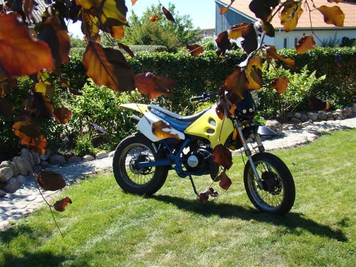 Suzuki SMX LC DD Byttede billede 14