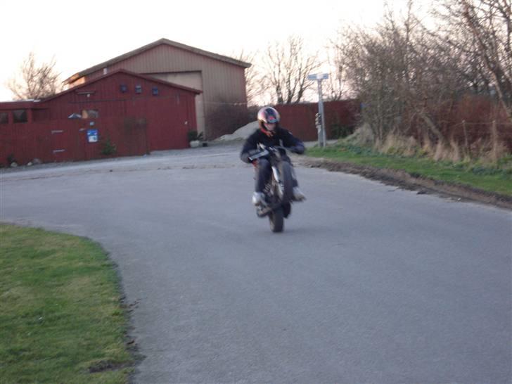 PGO Mini Max billede 11