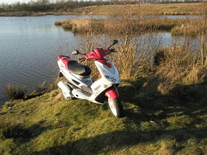 Peugeot Speedfight 2 R-Cup(Maria) billede 3