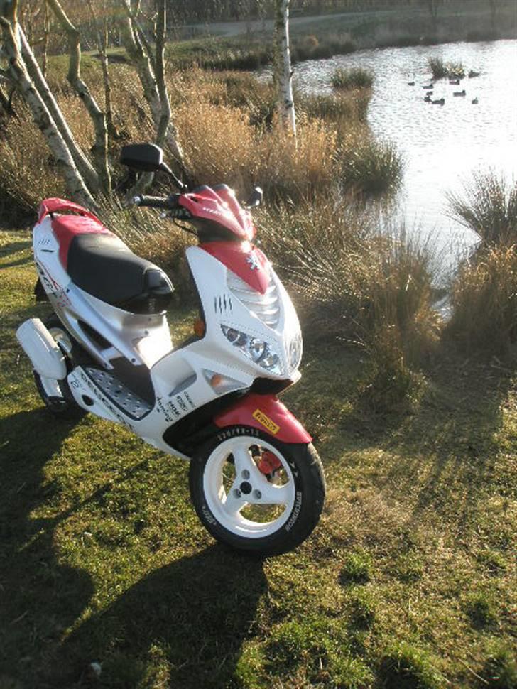 Peugeot Speedfight 2 R-Cup(Maria) billede 5