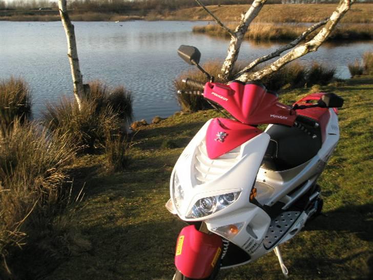 Peugeot Speedfight 2 R-Cup(Maria) billede 8