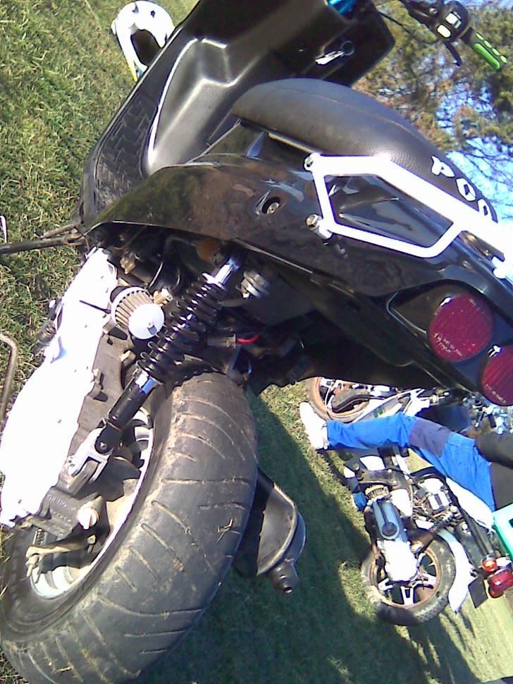 PGO  hot /billeder efter - hvied spjølde og sort baglygte glas billede 16