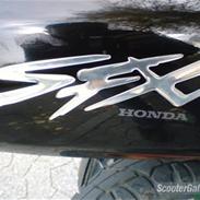 Honda sfx - Flat bagdæk :D