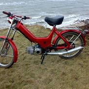 Puch Maxi (Byttet)