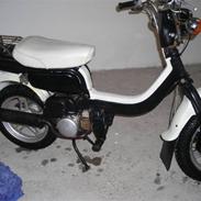 Suzuki FZ 50 ( Solgt )