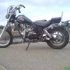 Regal Raptor Projekt