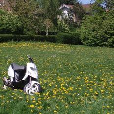 Gilera Stalker Solgt