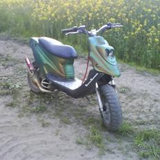 PGO Hot Evo * Vildbassen *