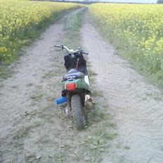 PGO Hot Evo * Vildbassen *