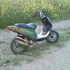 PGO Hot Evo * Vildbassen *