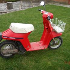 Honda Melody ( SOLGT ! )