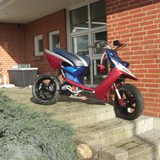 Yamaha Bws -DFS07- byttet!