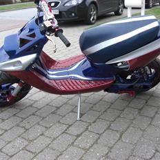 Yamaha Bws -DFS07- byttet!