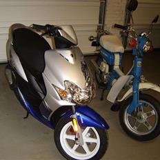 Suzuki Fz 50
