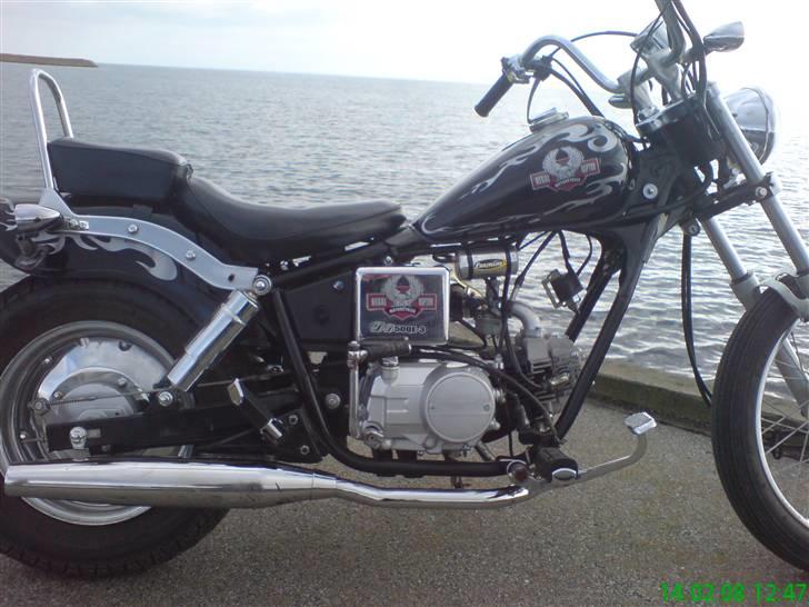 Regal Raptor Projekt billede 2