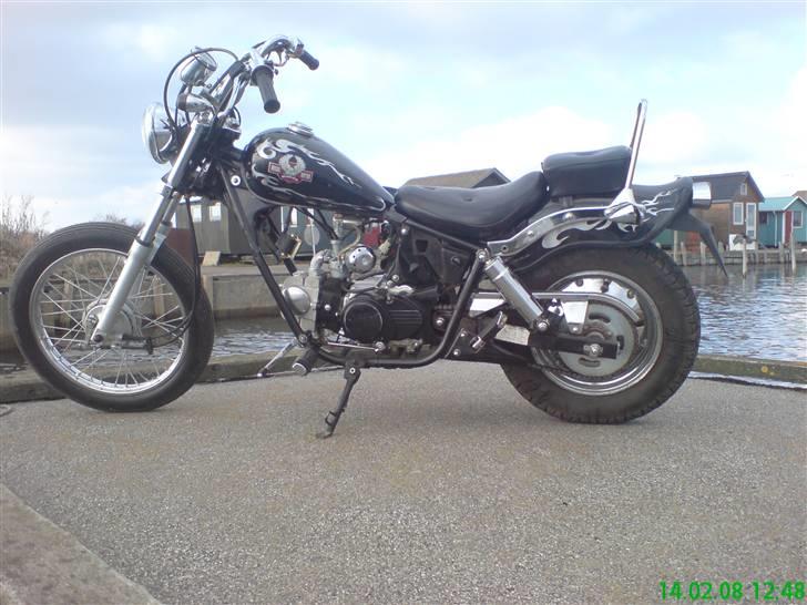 Regal Raptor Projekt billede 3